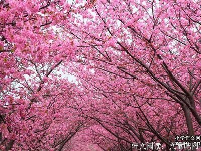描写三思而后行的语句摘抄