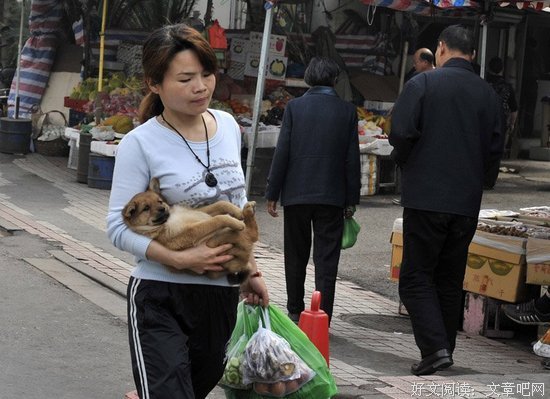 这样的中国家庭主妇，世上再无第二个！她是中国一百年的痛！