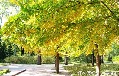 《解读中国经济（增订版）》的读后感10篇