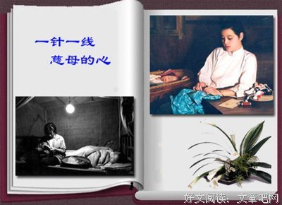 《犹忆花开那季时》读后感精选10篇