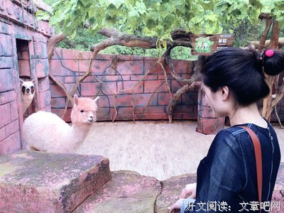 “敢回答这个问题的男人才是真的爱你。”