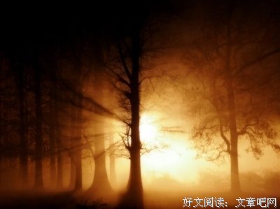 白落梅名言名句