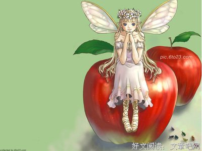 张曼娟的句子