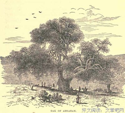 29 神与亚伯兰立下应许之约（一）应许后裔与地土（创世记15:1-8）