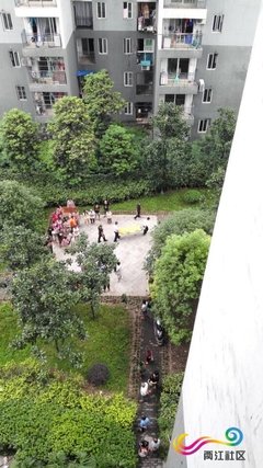 在朋友圈疯传的高楼坠冰砸死小孩的视频，真相在这里！家长最担心