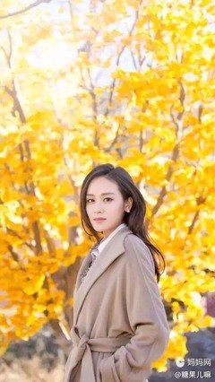 田亮二婚又娶了她！世上最美好的爱，莫过年少遇见你，余生专情只