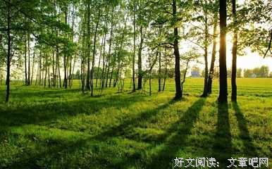 《白首不相离》经典读后感10篇