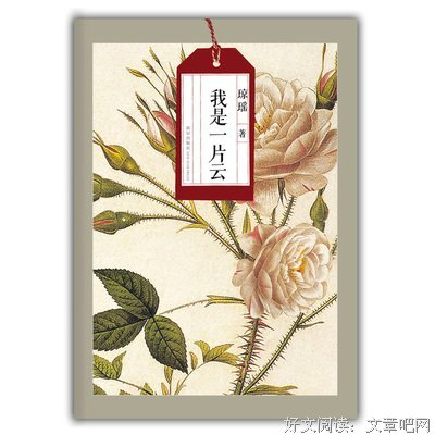 《我是一片雲》经典影评集