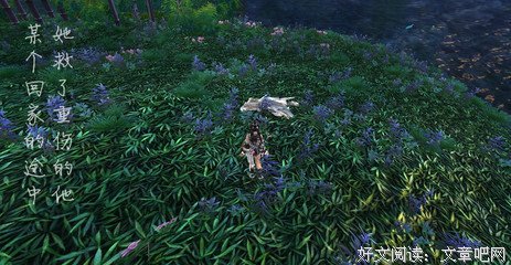 不敢爱的人，千万别爱