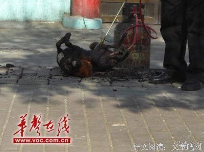 永军的语句摘抄_关于永军的语句