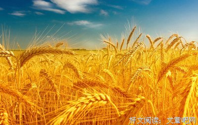 关于肥胖名言名句