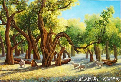 《金色的风》语录摘抄