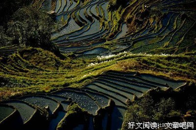 最经典的《追忆杂记》经典名句大全