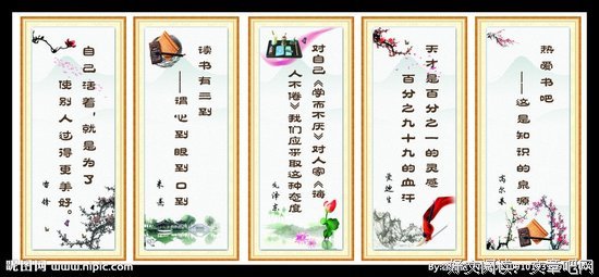 中看的名言_关于中看的名言