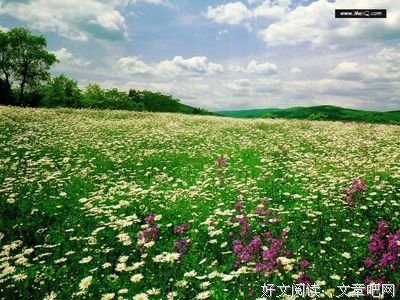 关于何其芳名言名句