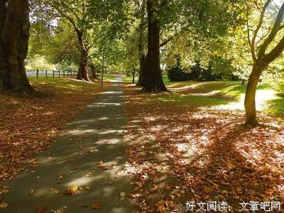 中国式父母的悲哀：付出自己的全部，却养不出感恩的孩子