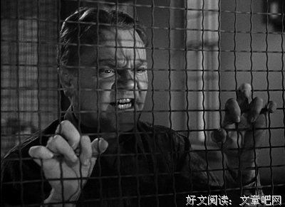 《围捕》影评10篇