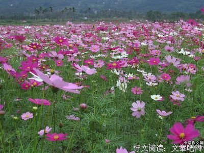 描写渐行渐远的语句摘抄