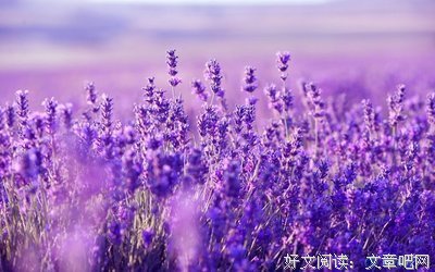 最经典的朱利安·巴恩斯经典语录