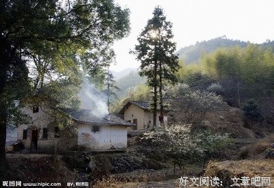 有关春风化雨的美文美句摘抄