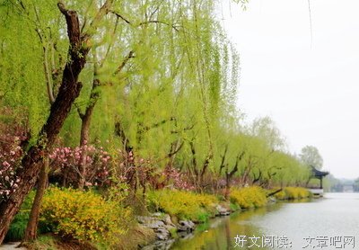 柳春花的句子