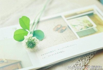 《莫非这就是爱情》名句欣赏大全