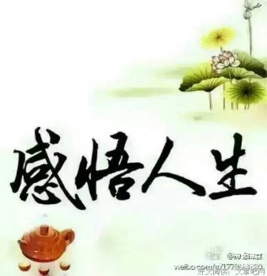 最新的《天才的激情与感悟》经典的句子大全