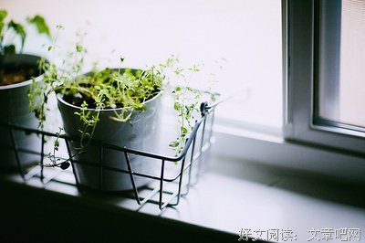 最新的《善待命运》经典语句