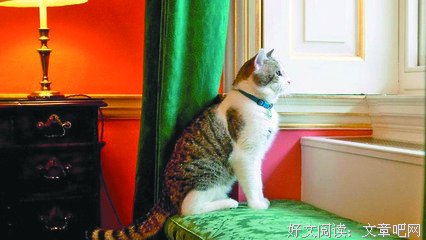 英国外交部捕鼠官都减肥了，听说你还在胖着｜有毒周报