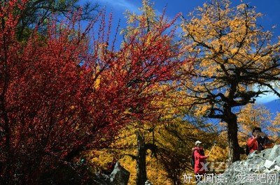 《地狱之旅》的读后感10篇