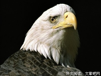 最经典的蔚蓝名言大全