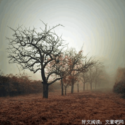 《疯狂阅读》经典语句
