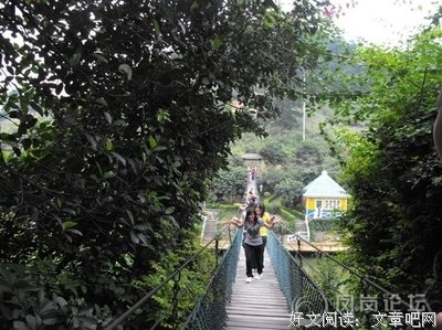 《新龙凤配》经典观后感集