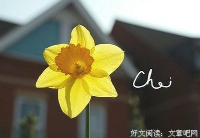晚安算什么，和你说这句话的人才是真的爱你