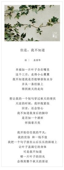 2017余秀华15句经典名言