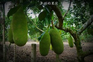 描写受益匪浅的经典句子