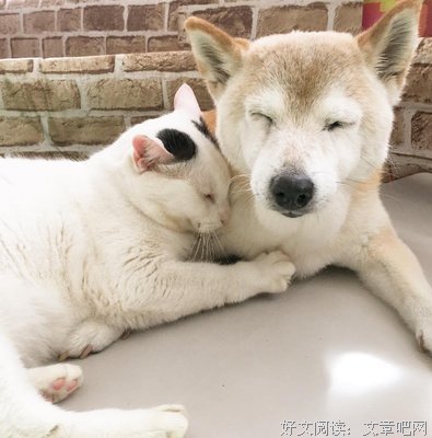 虽然我年纪小，但是我身体差啊！