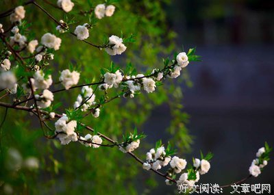 立春 ｜ 春（朱自清）
