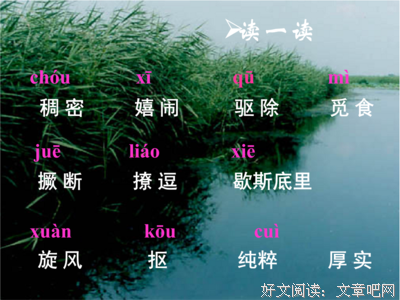 孤独应该是“生活的必需品”