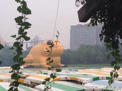 最全的《骄阳似我》经典语句大全