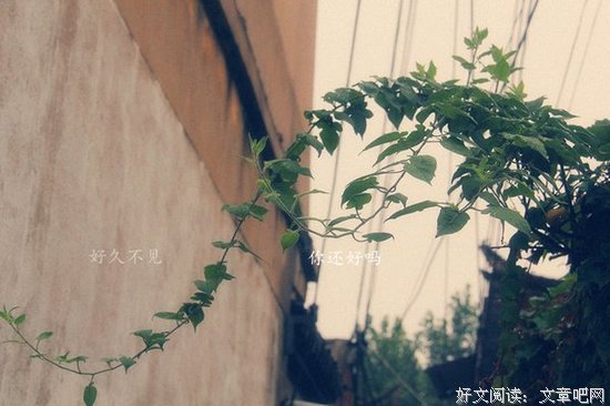 你还好吗