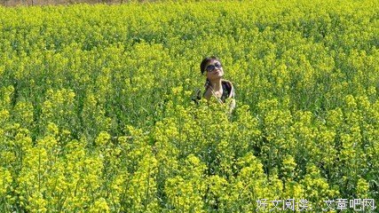 在春节，请待我如老友，别再伤害我