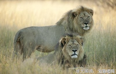 汤兰兰案：你猎杀的不是罪恶，而是文明