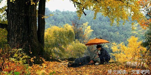 《红河》影评10篇