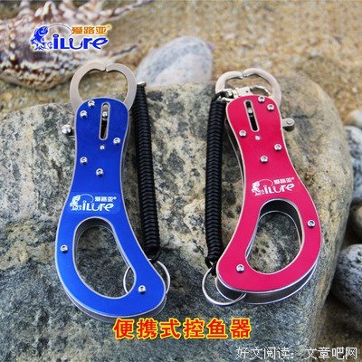 《舞姬》经典观后感集