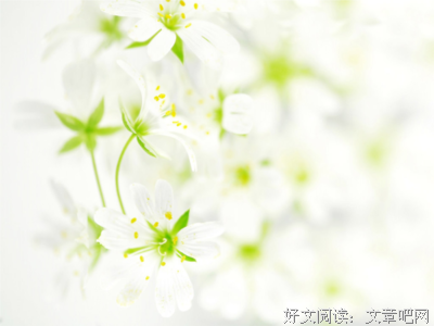 目不识丁的名句_关于目不识丁的名句