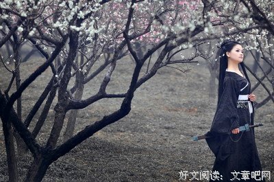 关于燕儿的唯美语录