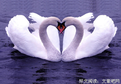 关于勾肩搭背的格言