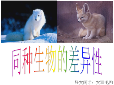 人与其他生物的区别在哪里？