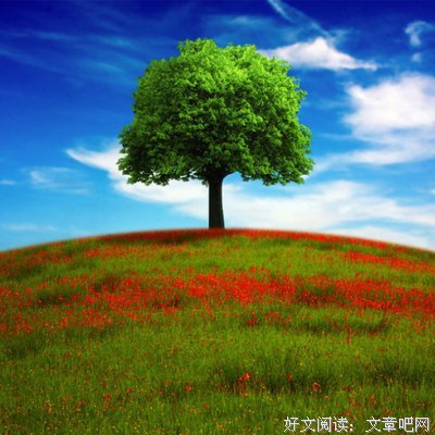 米炎凉名言名句